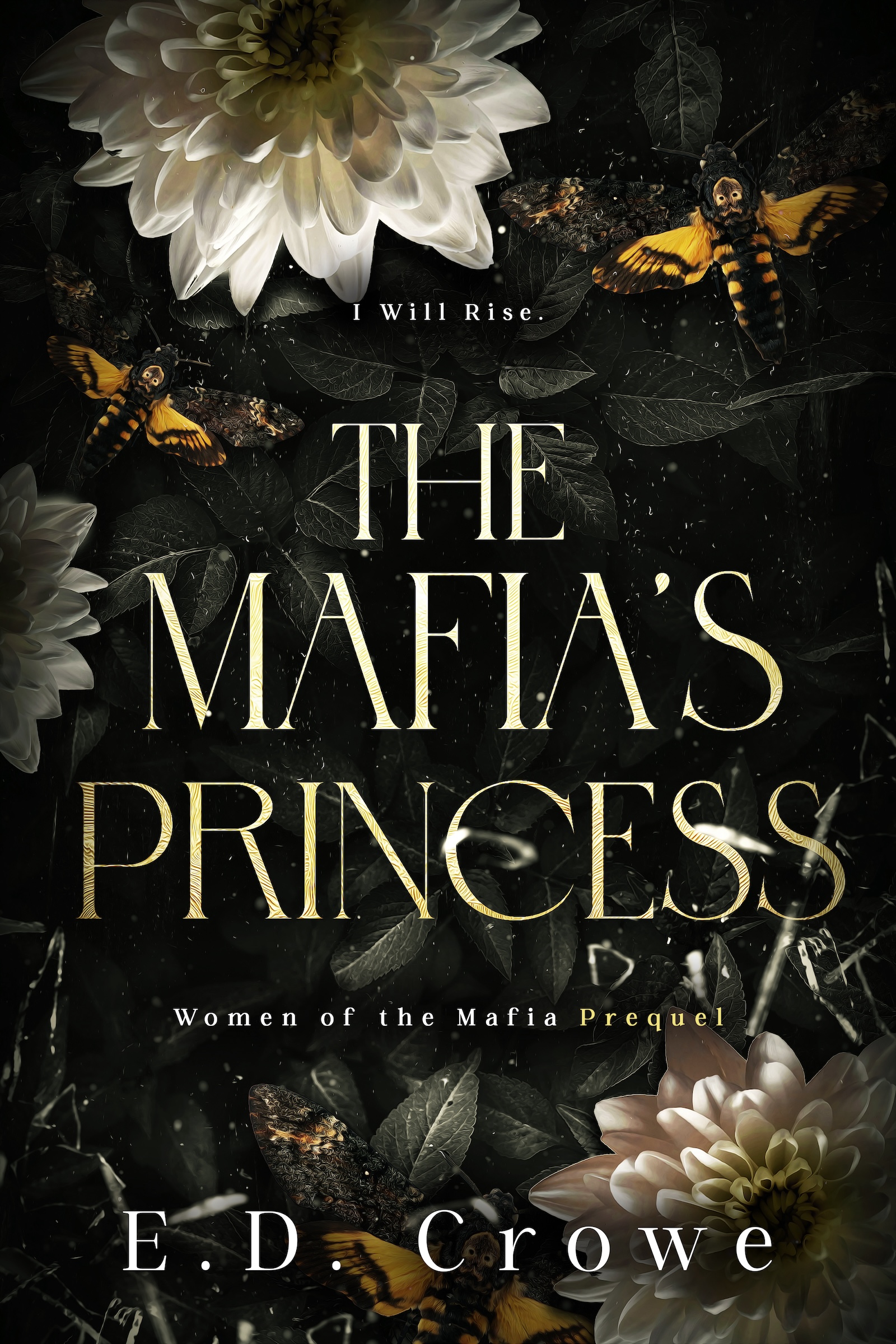 <span>The Mafia's Princess:</span> The Mafia's Princess